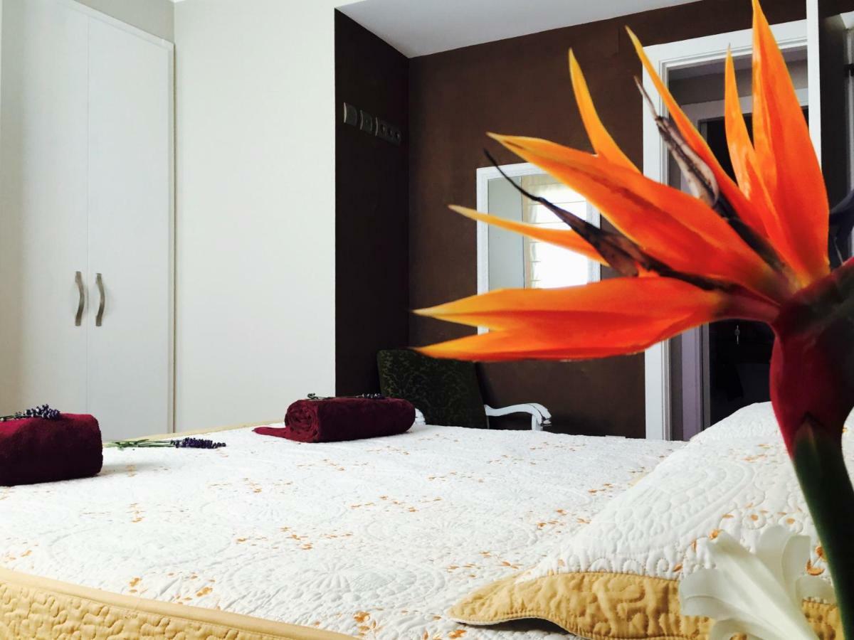 Ferienwohnung Lo Raconet Deltebre Exterior foto